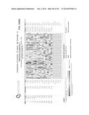 GENE EXPRESSION SIGNATURES OF NEOPLASM RESPONSIVENESS TO THERAPY diagram and image