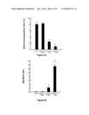 Amooranin Compounds and Analogs Thereof and Related Methods of Use diagram and image