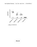 INFLUENZA VIRUS VACCINES AND USES THEREOF diagram and image