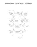 CHIMERIC OLIGOMERIC COMPOUNDS COMPRISING ALTERNATING REGIONS OF NORTHERN     AND SOUTHERN CONFORMATIONAL GEOMETRY diagram and image