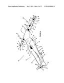 Normothermic maintenance system and method diagram and image