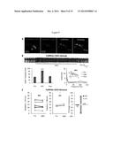 Systems, Methods and Compositions for Optical Stimulation of Target Cells diagram and image