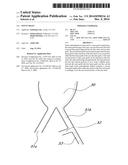 STENT GRAFT diagram and image