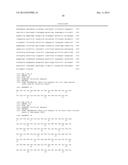 EXPRESSION OF SECRETORY IgA ANTIBODIES IN DUCKWEED diagram and image