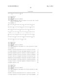 EXPRESSION OF SECRETORY IgA ANTIBODIES IN DUCKWEED diagram and image