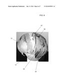 Versatile Protective Helmet Applique Assembly diagram and image