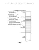 FULLY REDUNDANT PHOTOVOLTAIC ARRAY diagram and image