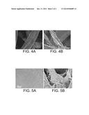 Superamphiphobic Paper diagram and image