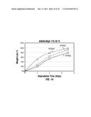 DEGRADABLE COMPOSITE MATERIALS AND USES diagram and image