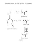 Production of Fuel from Chemicals Derived from Biomass diagram and image