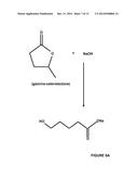 Production of Fuel from Chemicals Derived from Biomass diagram and image