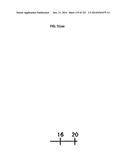 APPARATUS AND METHOD FOR CALCULATING AIMING POINT INFORMATION diagram and image