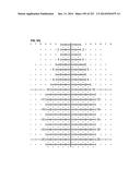 APPARATUS AND METHOD FOR CALCULATING AIMING POINT INFORMATION diagram and image