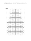 APPARATUS AND METHOD FOR CALCULATING AIMING POINT INFORMATION diagram and image