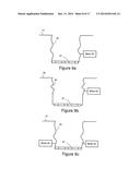 INTERFACE, A METHOD FOR OBSERVING AN OBJECT WITHIN A NON-VACUUM     ENVIRONMENT AND A SCANNING ELECTRON MICROSCOPE diagram and image