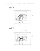 STEREOSCOPIC IMAGE DISPLAY CONTROL DEVICE, IMAGING APPARATUS INCLUDING THE     SAME, AND STEREOSCOPIC IMAGE DISPLAY CONTROL METHOD diagram and image