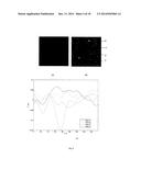 COMPUTATIONAL METHODS AND APPARATUS FOR MEIBOGRAPHY diagram and image