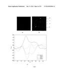 COMPUTATIONAL METHODS AND APPARATUS FOR MEIBOGRAPHY diagram and image