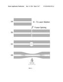 MICROFIBER DEVICE WITH ENCLOSED INNER CAVITY diagram and image