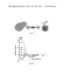 SELF-ASSEMBLING MOLECULES THAT ACCUMULATE IN ACIDIC TUMOR     MICROENVIRONMENTS diagram and image