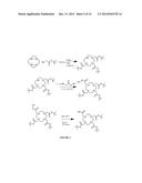 SELF-ASSEMBLING MOLECULES THAT ACCUMULATE IN ACIDIC TUMOR     MICROENVIRONMENTS diagram and image