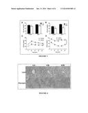 MEX3C REGULATION AND TARGET TO CONTROL OBESITY AND DIABETES diagram and image