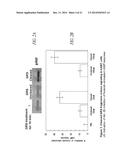 COMPOSITIONS AND METHODS COMPRISING GLYCYL-TRNA SYNTHETASES HAVING     NON-CANONICAL BIOLOGICAL ACTIVITIES diagram and image