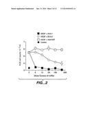 VASCULAR ENDOTHELIAL CELL GROWTH FACTOR ANTAGONISTS AND USES THEREOF diagram and image