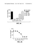 VASCULAR ENDOTHELIAL CELL GROWTH FACTOR ANTAGONISTS AND USES THEREOF diagram and image