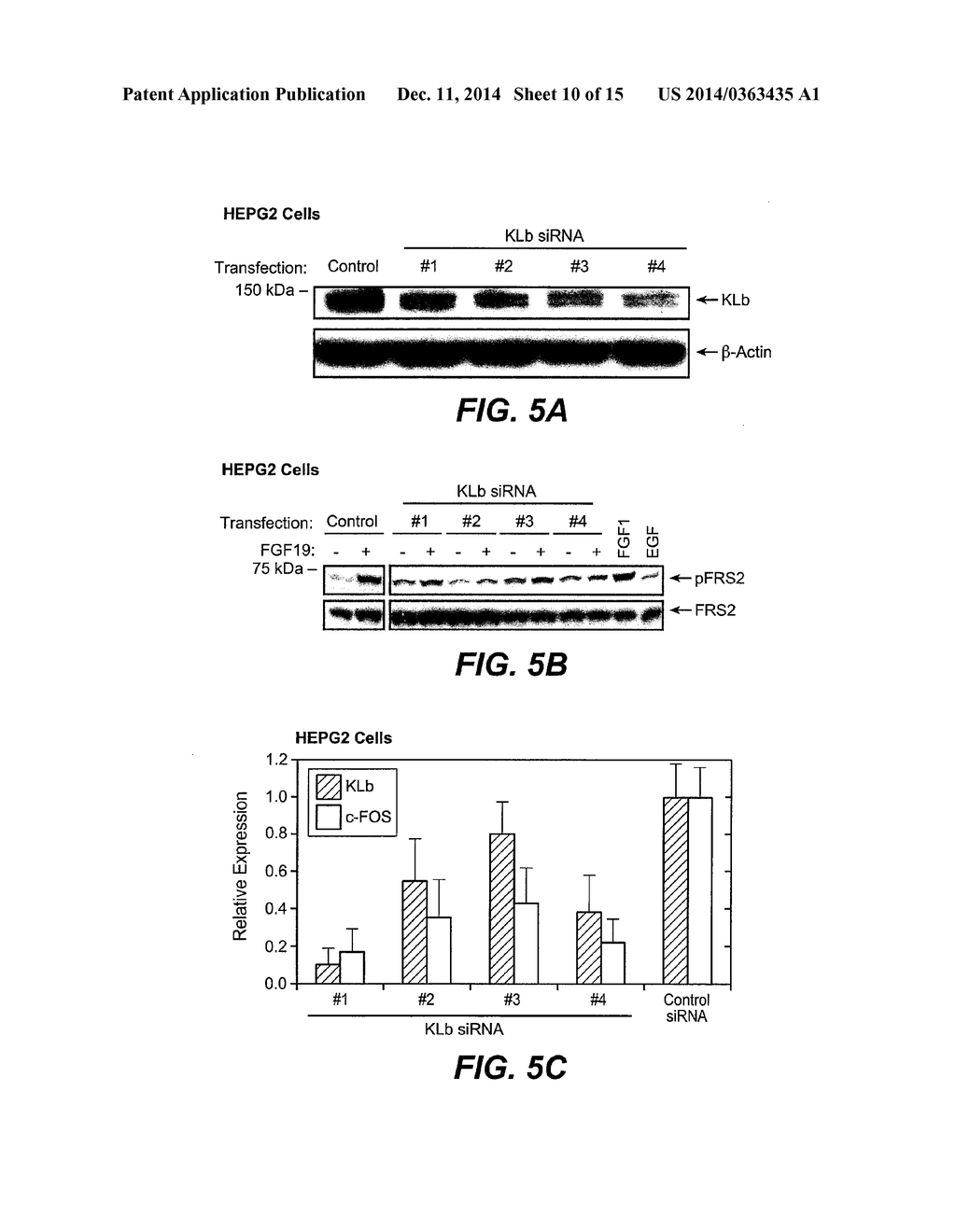 KLOTHO BETA - diagram, schematic, and image 11