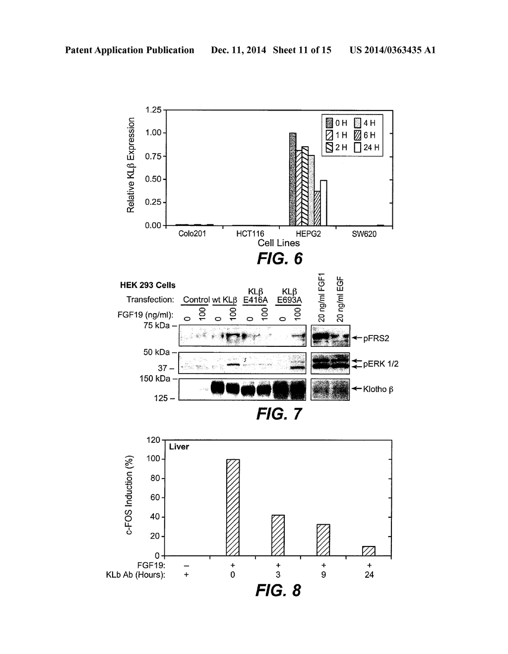 KLOTHO BETA - diagram, schematic, and image 12