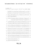 POLYPEPTIDES AND POLYNUCLEOTIDES, AND USES THEREOF AS A DRUG TARGET FOR     PRODUCING DRUGS AND BIOLOGICS diagram and image