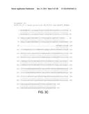 POLYPEPTIDES AND POLYNUCLEOTIDES, AND USES THEREOF AS A DRUG TARGET FOR     PRODUCING DRUGS AND BIOLOGICS diagram and image