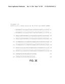 POLYPEPTIDES AND POLYNUCLEOTIDES, AND USES THEREOF AS A DRUG TARGET FOR     PRODUCING DRUGS AND BIOLOGICS diagram and image