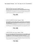 POLYPEPTIDES AND POLYNUCLEOTIDES, AND USES THEREOF AS A DRUG TARGET FOR     PRODUCING DRUGS AND BIOLOGICS diagram and image