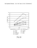 POLYPEPTIDES AND POLYNUCLEOTIDES, AND USES THEREOF AS A DRUG TARGET FOR     PRODUCING DRUGS AND BIOLOGICS diagram and image