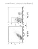 POLYPEPTIDES AND POLYNUCLEOTIDES, AND USES THEREOF AS A DRUG TARGET FOR     PRODUCING DRUGS AND BIOLOGICS diagram and image