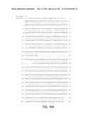 POLYPEPTIDES AND POLYNUCLEOTIDES, AND USES THEREOF AS A DRUG TARGET FOR     PRODUCING DRUGS AND BIOLOGICS diagram and image