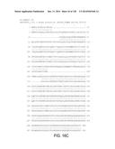 POLYPEPTIDES AND POLYNUCLEOTIDES, AND USES THEREOF AS A DRUG TARGET FOR     PRODUCING DRUGS AND BIOLOGICS diagram and image