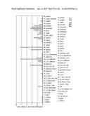 POLYPEPTIDES AND POLYNUCLEOTIDES, AND USES THEREOF AS A DRUG TARGET FOR     PRODUCING DRUGS AND BIOLOGICS diagram and image