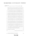 POLYPEPTIDES AND POLYNUCLEOTIDES, AND USES THEREOF AS A DRUG TARGET FOR     PRODUCING DRUGS AND BIOLOGICS diagram and image