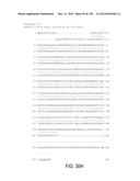 POLYPEPTIDES AND POLYNUCLEOTIDES, AND USES THEREOF AS A DRUG TARGET FOR     PRODUCING DRUGS AND BIOLOGICS diagram and image