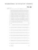 POLYPEPTIDES AND POLYNUCLEOTIDES, AND USES THEREOF AS A DRUG TARGET FOR     PRODUCING DRUGS AND BIOLOGICS diagram and image