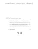 POLYPEPTIDES AND POLYNUCLEOTIDES, AND USES THEREOF AS A DRUG TARGET FOR     PRODUCING DRUGS AND BIOLOGICS diagram and image