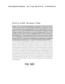 POLYPEPTIDES AND POLYNUCLEOTIDES, AND USES THEREOF AS A DRUG TARGET FOR     PRODUCING DRUGS AND BIOLOGICS diagram and image