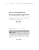 POLYPEPTIDES AND POLYNUCLEOTIDES, AND USES THEREOF AS A DRUG TARGET FOR     PRODUCING DRUGS AND BIOLOGICS diagram and image