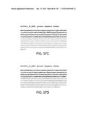 POLYPEPTIDES AND POLYNUCLEOTIDES, AND USES THEREOF AS A DRUG TARGET FOR     PRODUCING DRUGS AND BIOLOGICS diagram and image