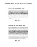 POLYPEPTIDES AND POLYNUCLEOTIDES, AND USES THEREOF AS A DRUG TARGET FOR     PRODUCING DRUGS AND BIOLOGICS diagram and image