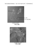 POLYPEPTIDES AND POLYNUCLEOTIDES, AND USES THEREOF AS A DRUG TARGET FOR     PRODUCING DRUGS AND BIOLOGICS diagram and image