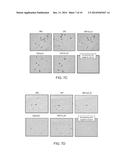 Protofibril-Binding Antibodies And Their Use In Therapeutic And Diagnostic     Methods For Parkinson s Disease, Dementia With Lewy Bodies And Other     Alpha-Synucleinopathies diagram and image